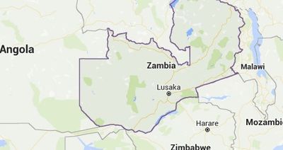 Zambian Safaris
