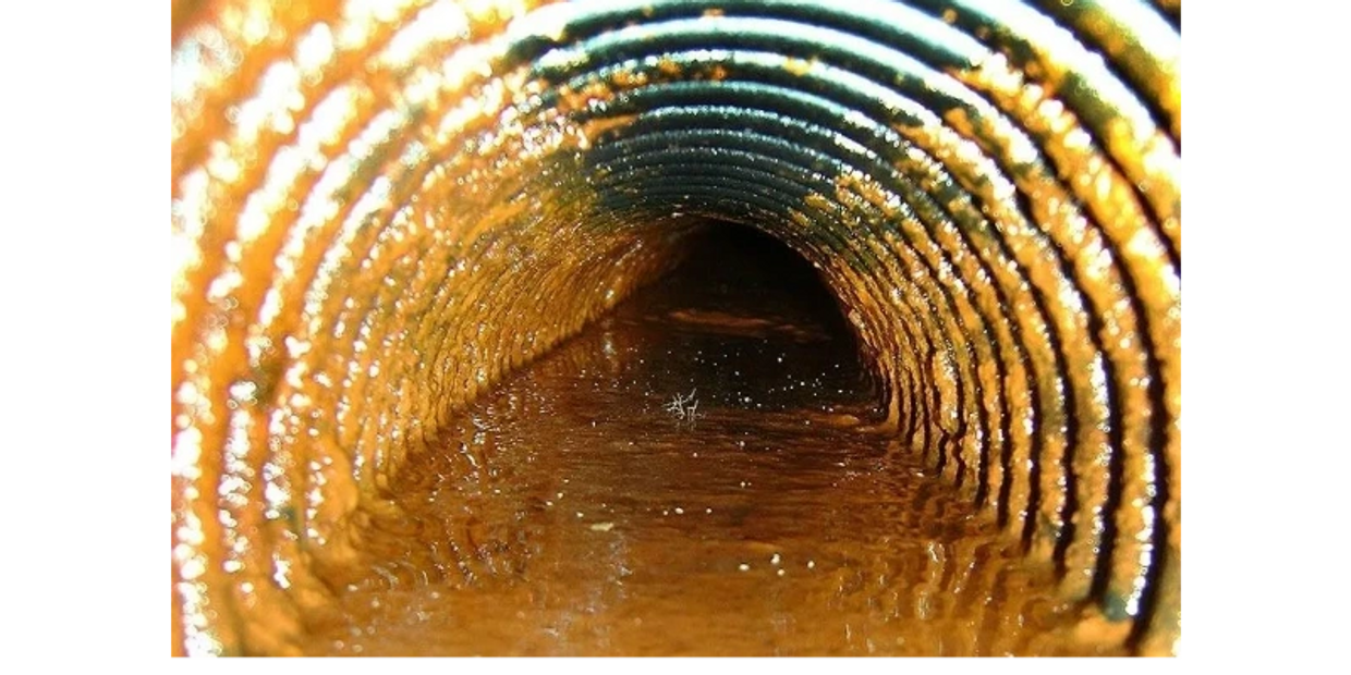 Nettoyage drain français