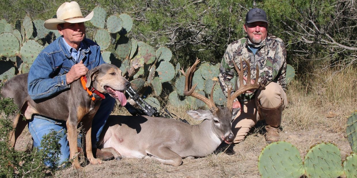 This is an image of a trophy buck that was tracked and recovered using Roy Hindes tracking services.