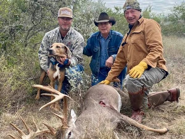 This is an image of a buck recovered by Roy Hindes tracking services. 