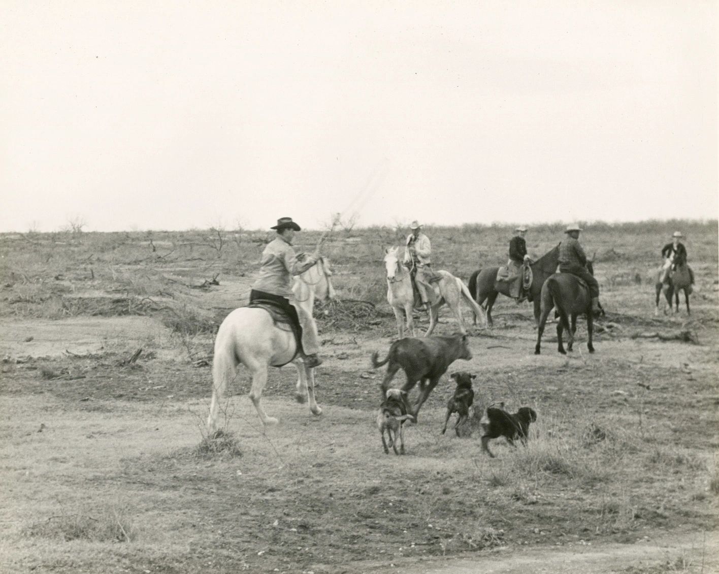 This is an image of "Old" Roy Hindes from the collection of Graves Peeler, Texas A&M Archives.