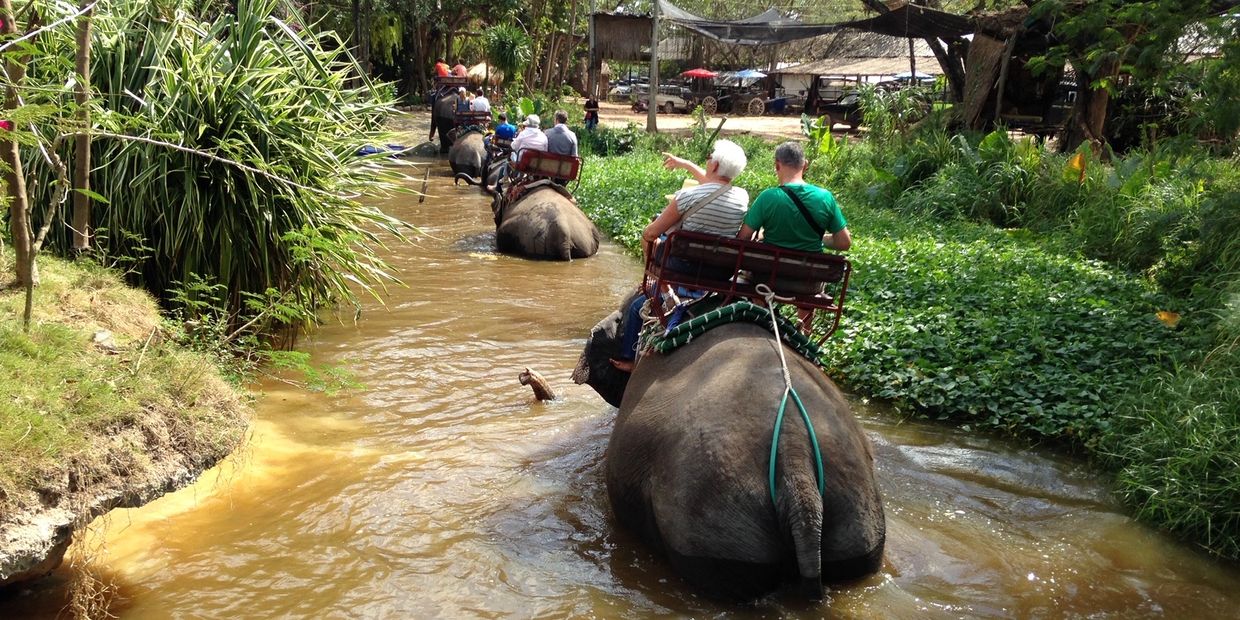 Riding on elephants in stream.
