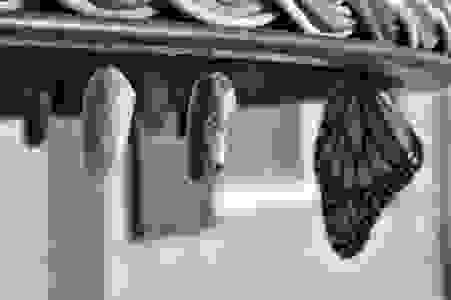 image2914