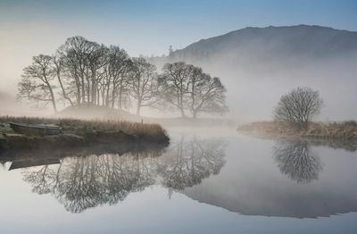 Serene misty morning water reflection — Clinical Hypnosis in North Dallas with Ashley Kuehne, LPC-S