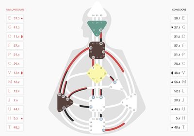 Human design chart showing conscious and unconscious energy centers and channels.
