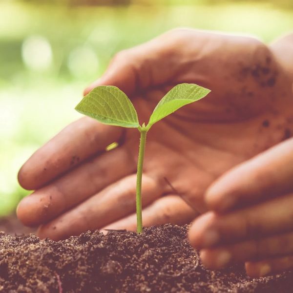 New Leaves Psychology Nottinghamshire