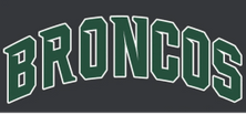CM Broncos Baseball