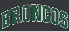 CM Broncos Baseball