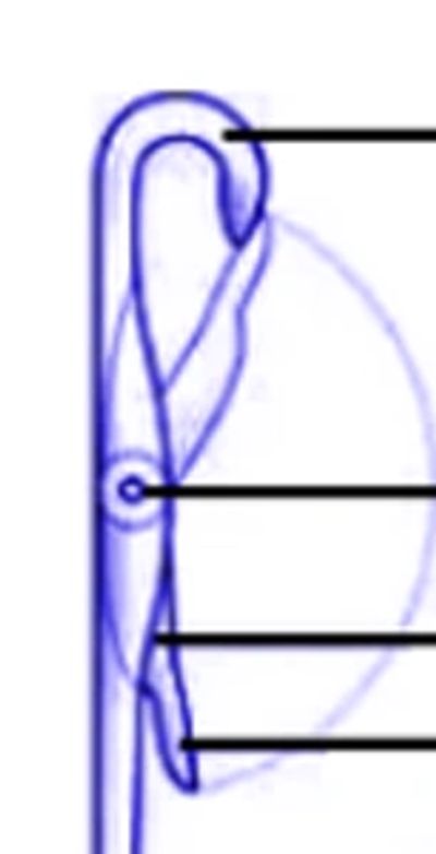 knitting machine needle part explanation