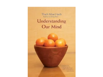 Buddhist psychology with insights on how these ancient teachings apply to the modern world
 