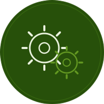 Two sun icons inside a green circular background.