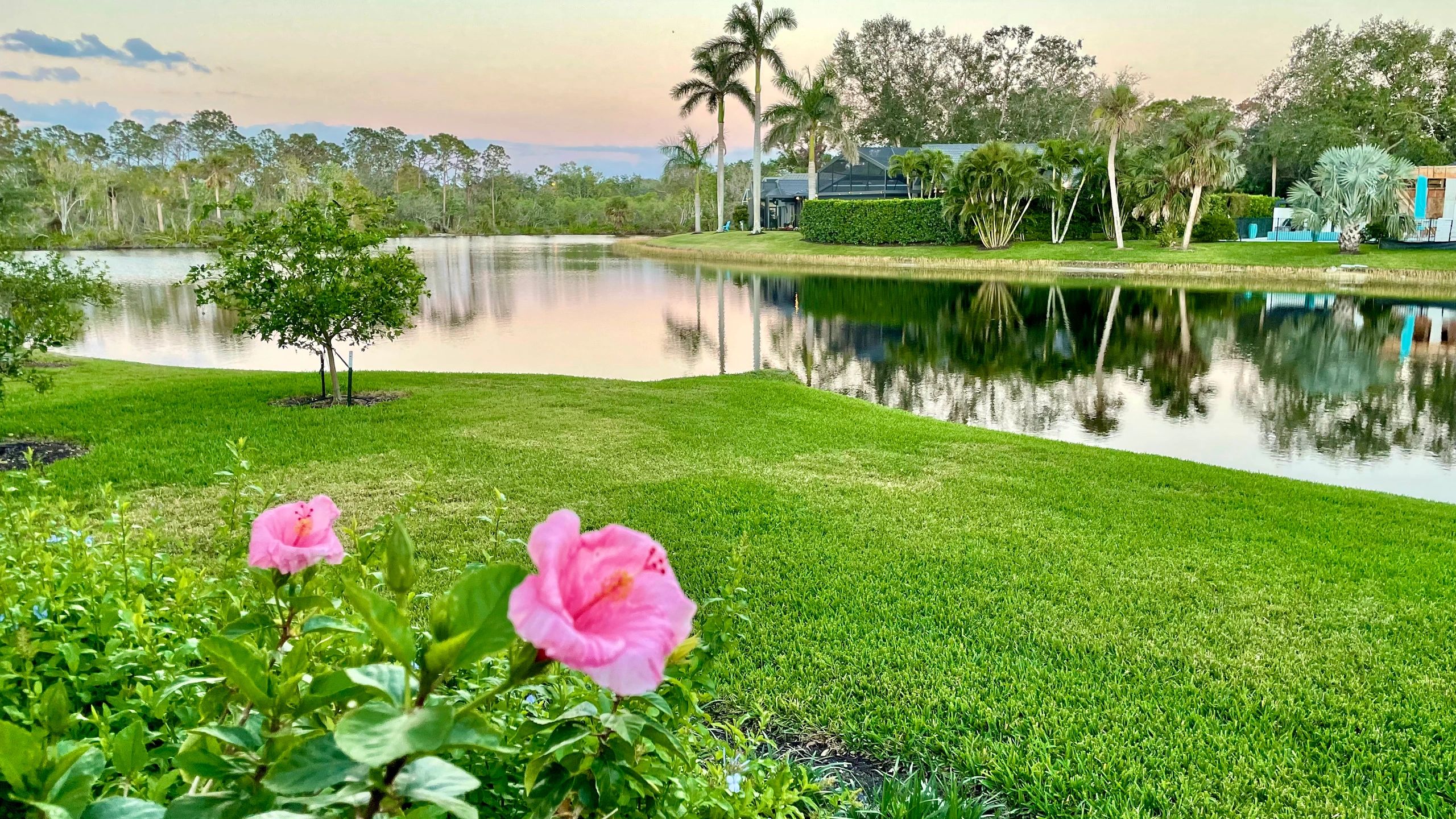 Bonita Bay Map