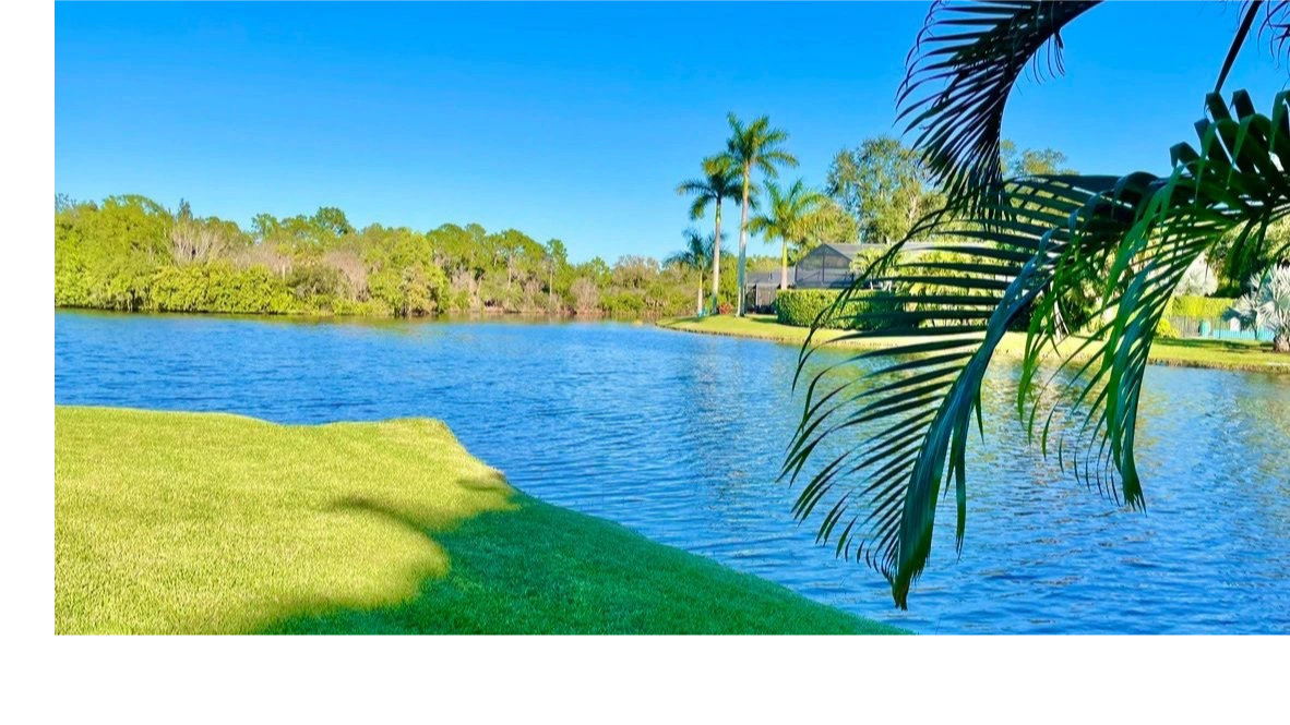 Bonita Bay Map