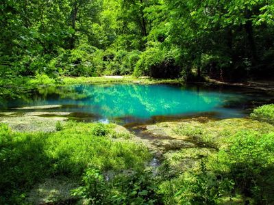 Boze Mill Spring - Eleven Point River