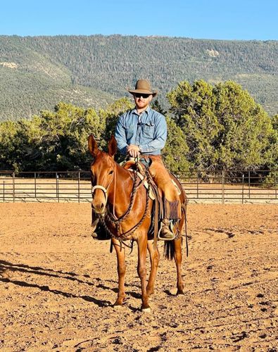 TS Mules LLC - Mules, Mule Clinic