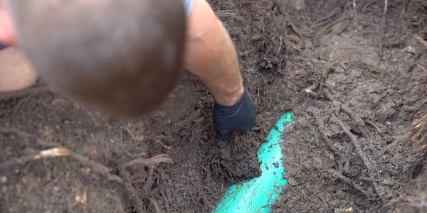 roots in sewer line, plumber in southshore, Apollo beach, riverview, ruskin