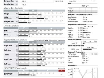 InBody Assessment Sheet