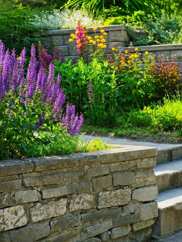 Beautiful garden