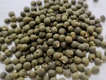 Bhindi/Lady Fingers Seeds