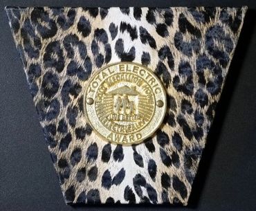 Total Electric Award