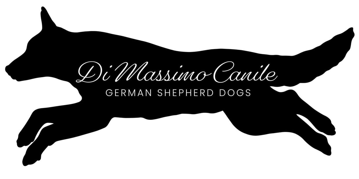 Silhouette of a German Shepherd dog with elegant text logo for Di Massimo Canile.
