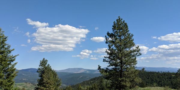 View of mountains and trees in Eastern Washington