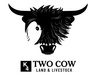 Two Cow Mini Cattle 
