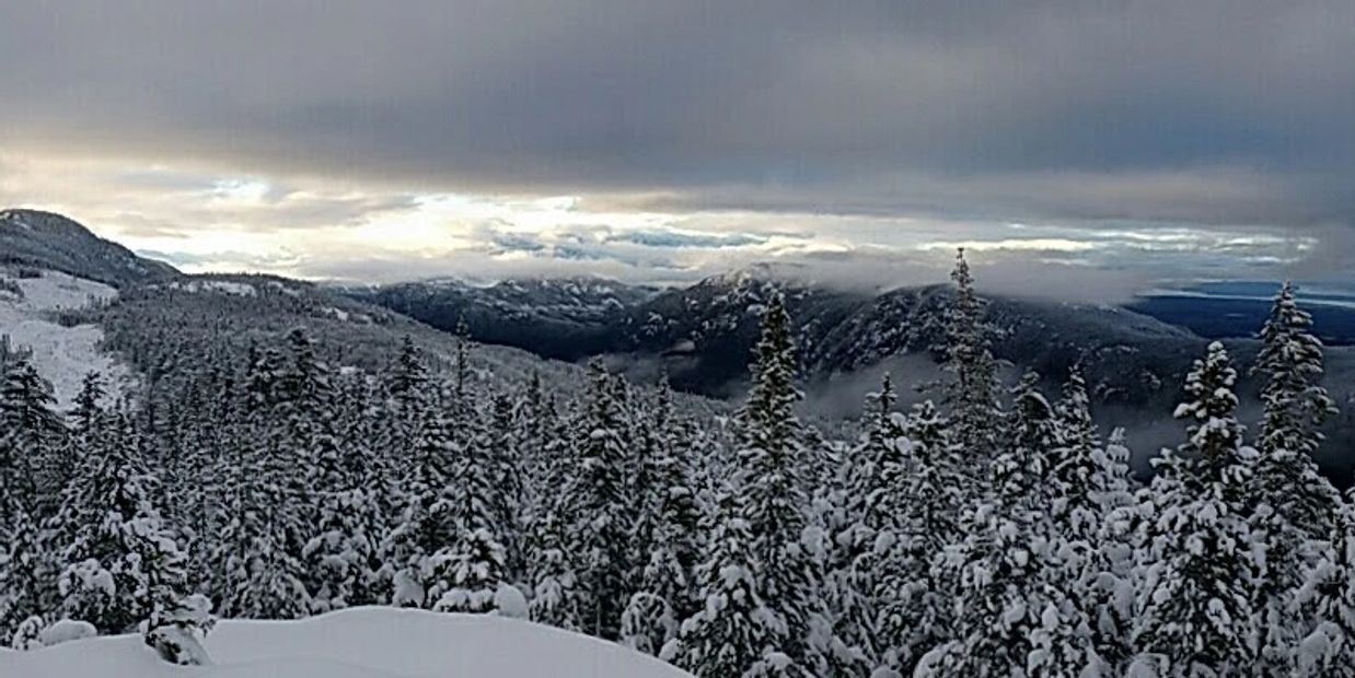 Snow covered trees on Mt. Arrowsmith