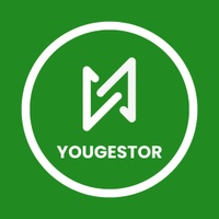 yougestor.com