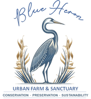 Blue Heron Urban Farms and Sanctuary LLC