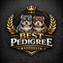Best Pedigree Kennels