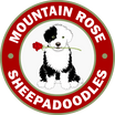 Mountian Rose Sheepadoodles
