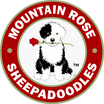 Mountian Rose Sheepadoodles