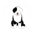 Mountian Rose Sheepadoodles