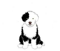Mountian Rose Sheepadoodles