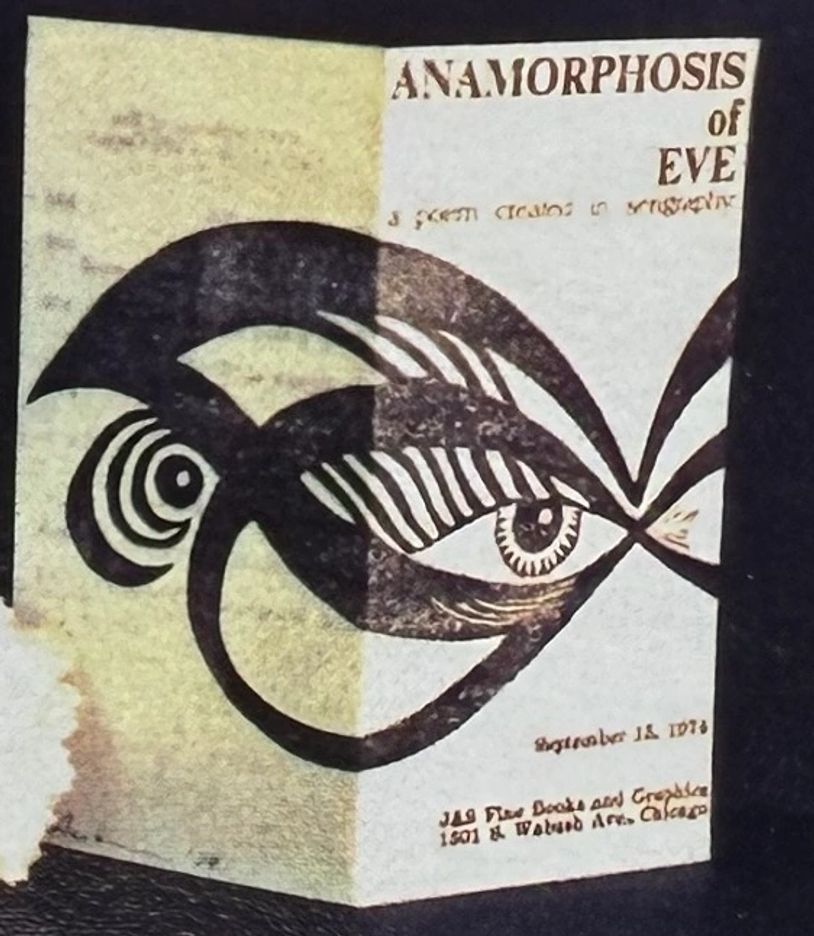 An artistic book cover with an abstract eye design titled 'Anamorphosis of Eve'.