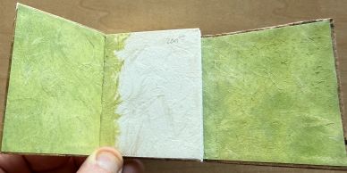 Hand holding a small booklet with green and white textured pages.