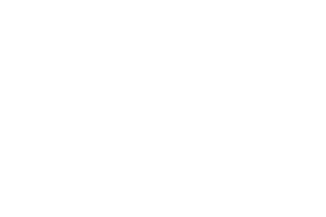 Renewed Mind Therapy LLC