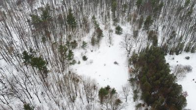 image198