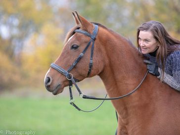 Phyllis Swalwell on her Arabian Moe, bitless in the field.