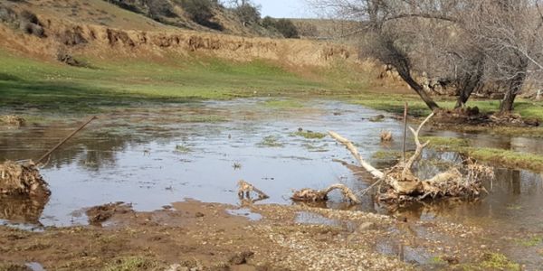 The Water Gap Saver stops debris from backing up water and creating flooding and more erosion issues