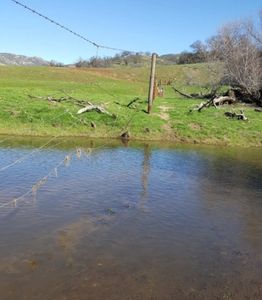 The Water Gap Savor allows debris to pass underneath the fence and not into the fence. 