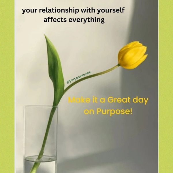 A yellow tulip in a glass with motivational text about self-relationship and purpose.
