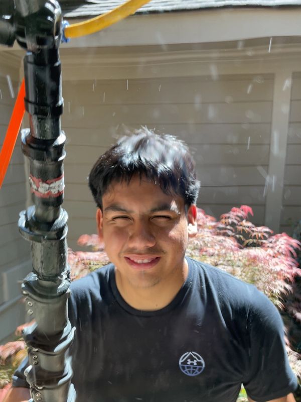 window cleaning service