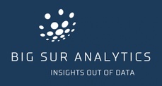 Big Sur Analytics