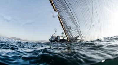 The High Seas are in crisis.