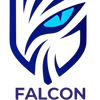 Falcon IT Solutions