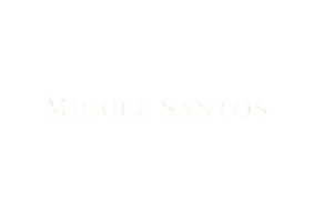 Miguel Santos Fiction