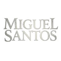 Miguel Santos Fiction