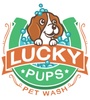 Lucky Pups Pet Wash